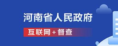 互联网+督查